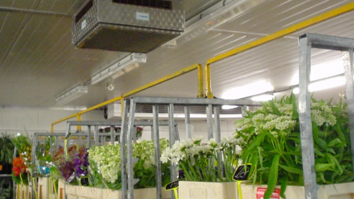 Nossos projetos - Mercado atacadista de flores em Hanover