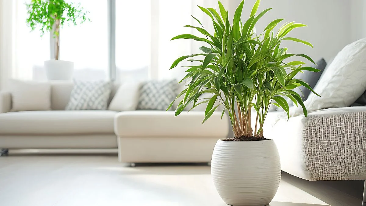 Purificador de ar para a casa - Para um equilíbrio iônico natural